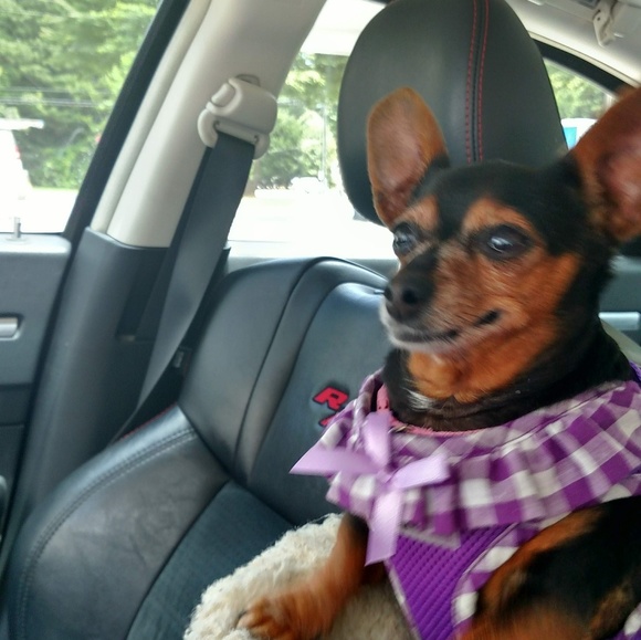 Meet your Posher, Marla - Picture 8 of 11